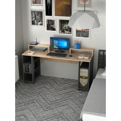 Oyuncu Bilgisayar Masası 160 Cm Çalışma Masası